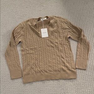 Everlane V-Neck Sweater in Tan